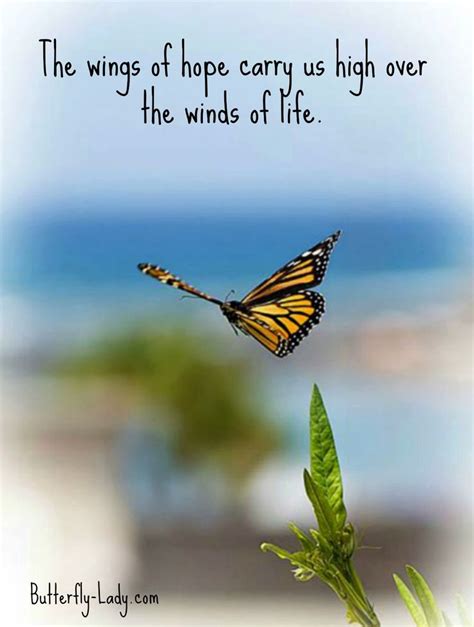 143 best Butterfly Inspiration images on Pinterest | Butterflies, Butterfly and Butterfly quotes