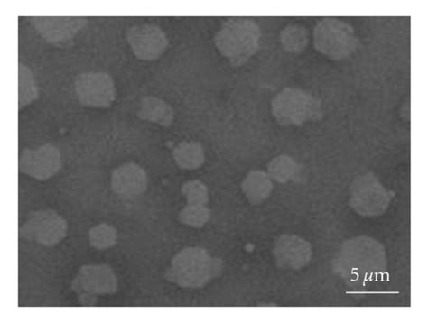 (a) A SEM image of Si3N4 crystals; (b) a magnification picture ...