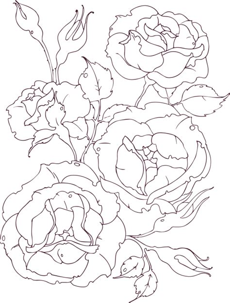 Free Roses Outline Transparent Png Download