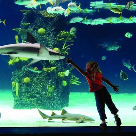 Newport Aquarium - 2018 All You Need to Know Before You Go (with Photos) - TripAdvisor