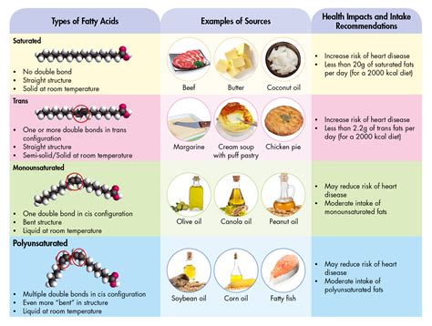 Saturated, Polyunsaturated, Monounsaturated Fats, Carbohydrate & Glucose-Insulin Homeostasis ...