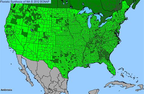 Ragweed Map Of Usa - Grayce Gerhardine