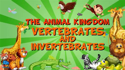 THE ANIMAL KINGDOM. VERTEBRATES AND INVERTEBRATES | Educational Videos for Kids - YouTube