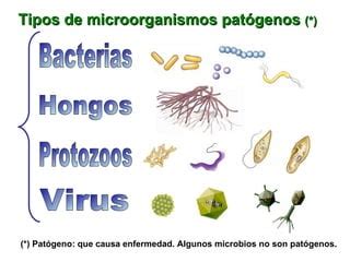 Enfermedades Infecciosas: microorganismos | PPT