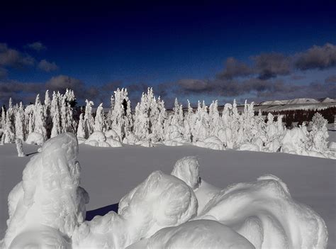 Winter in Yellowstone Wallpaper - WallpaperSafari