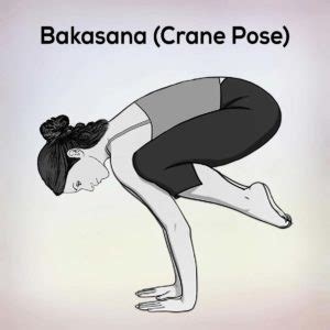 Bakasana Crane Pose Steps Benefits Precautions - nexoye