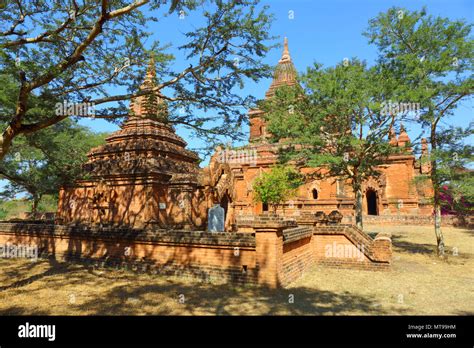 Temples between trees in Bagan Stock Photo - Alamy