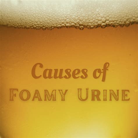 Foamy Urine Causes: How Much Foam in Urine Is Normal? - YouMeMindBody