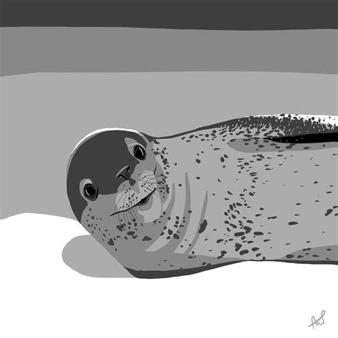 Leopard Seal Cartoon