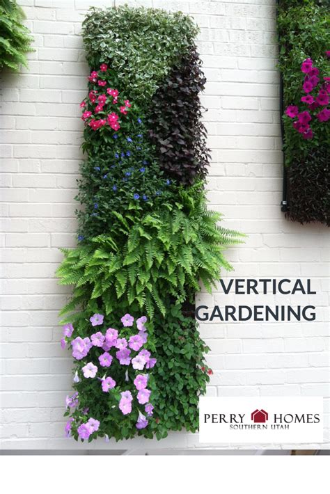 There are many uses for vertical gardening techniques. The most common is to conserve space ...