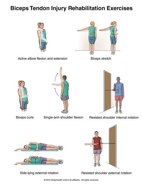 16 best Bicep Tears & Rehab images on Pinterest | Bicep tendonitis ...