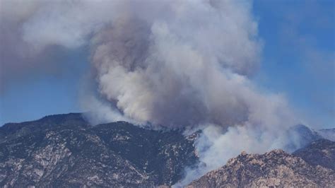 Thousands fight wildfires in national forests across Arizona | KRON4