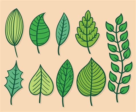 Green Leaves Clipart Set Vector Art & Graphics | freevector.com