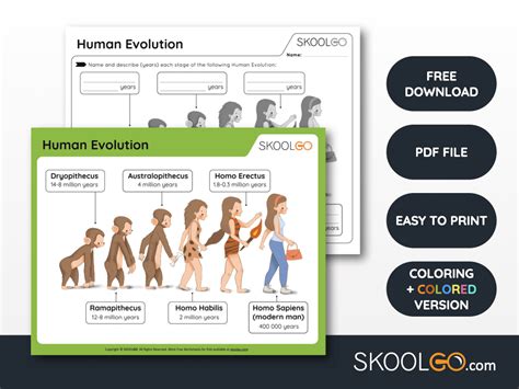 Human Evolution - Free Worksheet - SKOOLGO