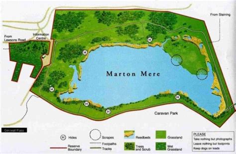 Where-2-See Birds (Beta Version): Official Marton Mere Map