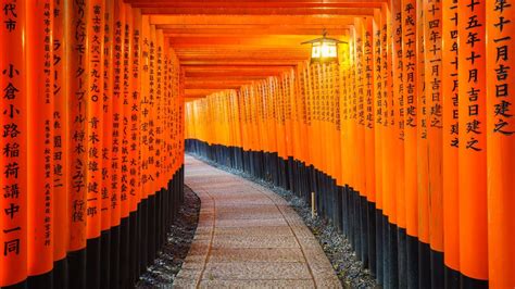 What is Shinto? | Sustainability from Japan - Zenbird