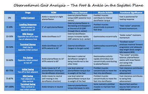 Review of the stages of Gait at the Hip, Knee, and Ankle: