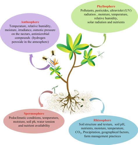 1 Major abiotic factors affecting plant-microbe interactions at the... | Download Scientific Diagram