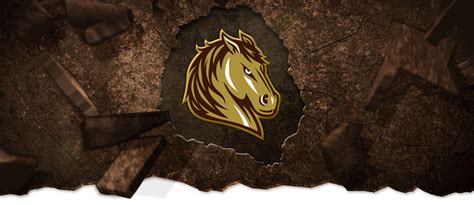 Mustangs4Life - Mustangs Logo Revealed! | Southwest Minnesota State ...