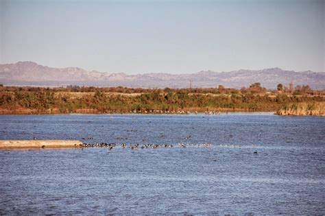 H*Mac: my photographic journal: Sonny Bono Salton Sea National Wildlife Refuge