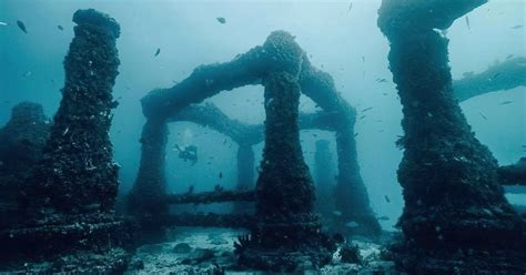 Dare To Uncover This Creepy Underwater Cemetery, Neptune Memorial Reef, In Florida