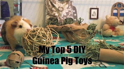 Homemade Guinea Pig Chew Toys | Wow Blog