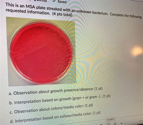 Solved Saved This is an MSA plate streaked with an unknown | Chegg.com