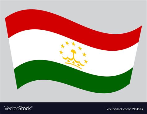 Flag of tajikistan waving on gray background Vector Image