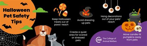 Look out for your pets this spooky season with our Halloween Pet Safety Tips… - CAW Blog