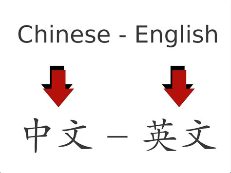 How to become a Chinese-English translator and what it’s like to be one | Hacking Chinese