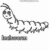Inchworm Coloring Page  Printable For Free Enjoy sketch template