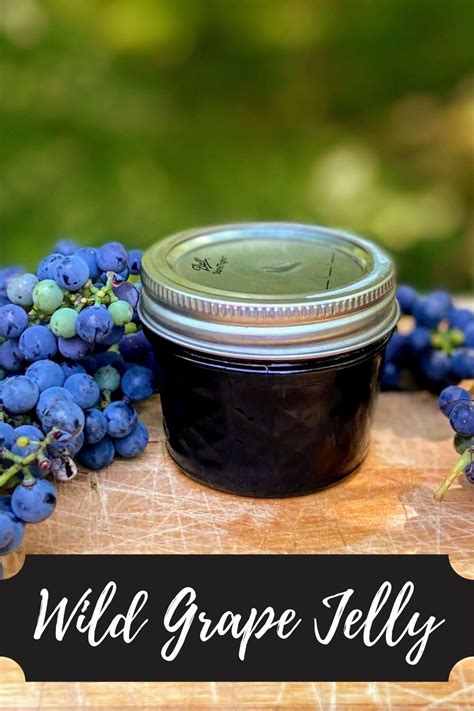 Best 18+ Grape Jelly Recipe: A Sweet and Delicious Homemade Version for ...