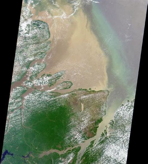 Satellite image of the Amazon River's Mouth | Gifex