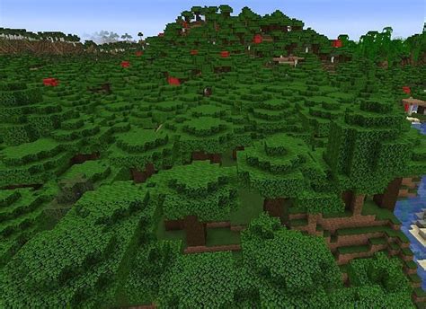 Dark Forest in Minecraft