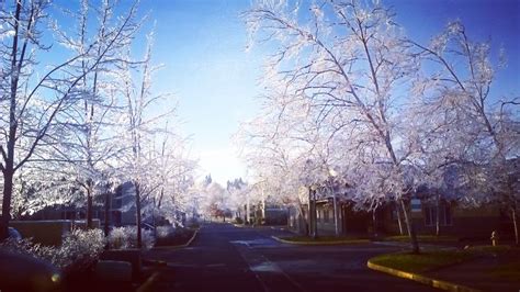 Frozen Eugene after a winter ice storm. | Ice storm, Outdoor, Coast