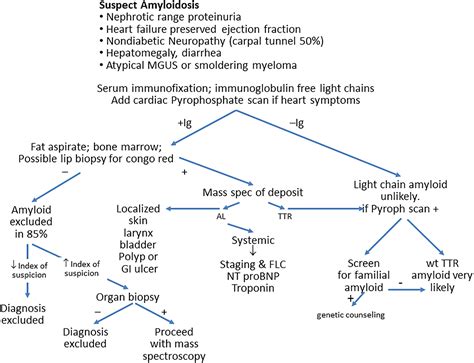 Immunoglobulin light chain amyloidosis: 2018 Update on diagnosis, prognosis, and treatment ...