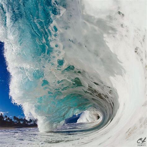 Clark Little on Instagram: “This morning’s bowl 🌊💥 #hawaii #shorebreak ...