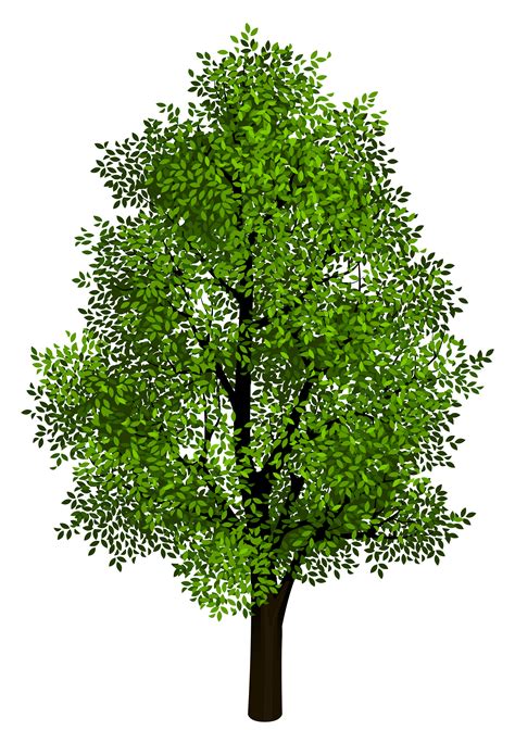 Green Tree Transparent Clipart Picture | Gallery Yopriceville - High-Quality Images and ...