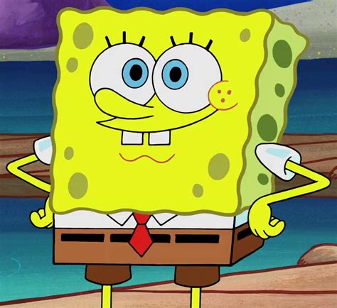 The Many Adventures of Spongebob Squarepants | The Parody Wiki | Fandom