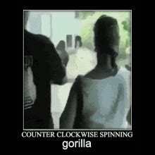 Zoo Gorilla GIF - Zoo Gorilla Spinning - Discover & Share GIFs