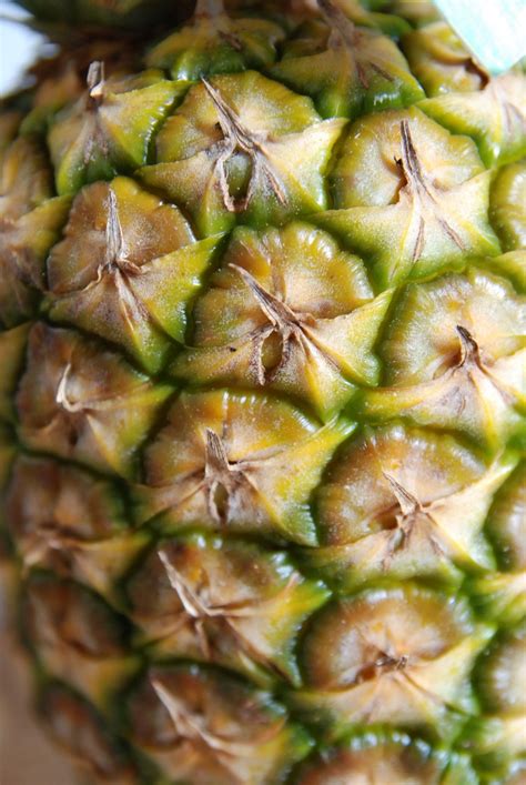 Free Images : food, produce, botany, pineapple, edible fruit, close up, flowering plant, ananas ...