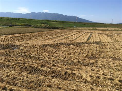 Free stock photo of blue mountains, dry grass, Farmers field