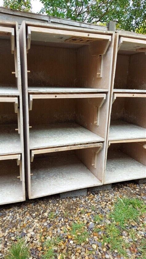 Racing pigeon nest boxes | in Chelmsford, Essex | Gumtree