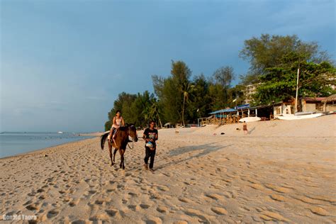 Batu Ferringhi Beach Local Tour, Daytrips, Sightseeing Packages ...