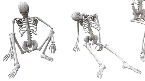 Skeleton Sitting Poses - 3D Model by RandomPolygons