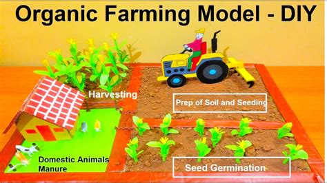 organic farming model making | science project | DIY | Agriculture ...