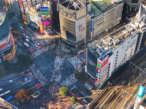 Shibuya Sky: the New Observatory on Top of Shibuya Scramble Square - Japan Web Magazine