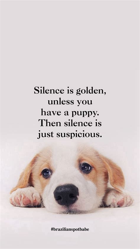 Dog Quotes Wallpapers - Wallpaper Cave