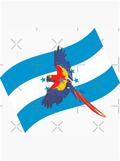 Lámina fotográfica «Guacamaya y bandera de Honduras» de OnTravel ...