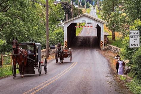 Amish Horse and Buggies in Lancaster’s Amish Country